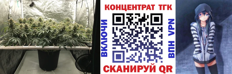 Купить закладки Азнакаево Дистиллят ТГК THC oil