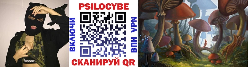 Купить закладки  Азнакаево  Галлюциногенные грибы Psilocybe 